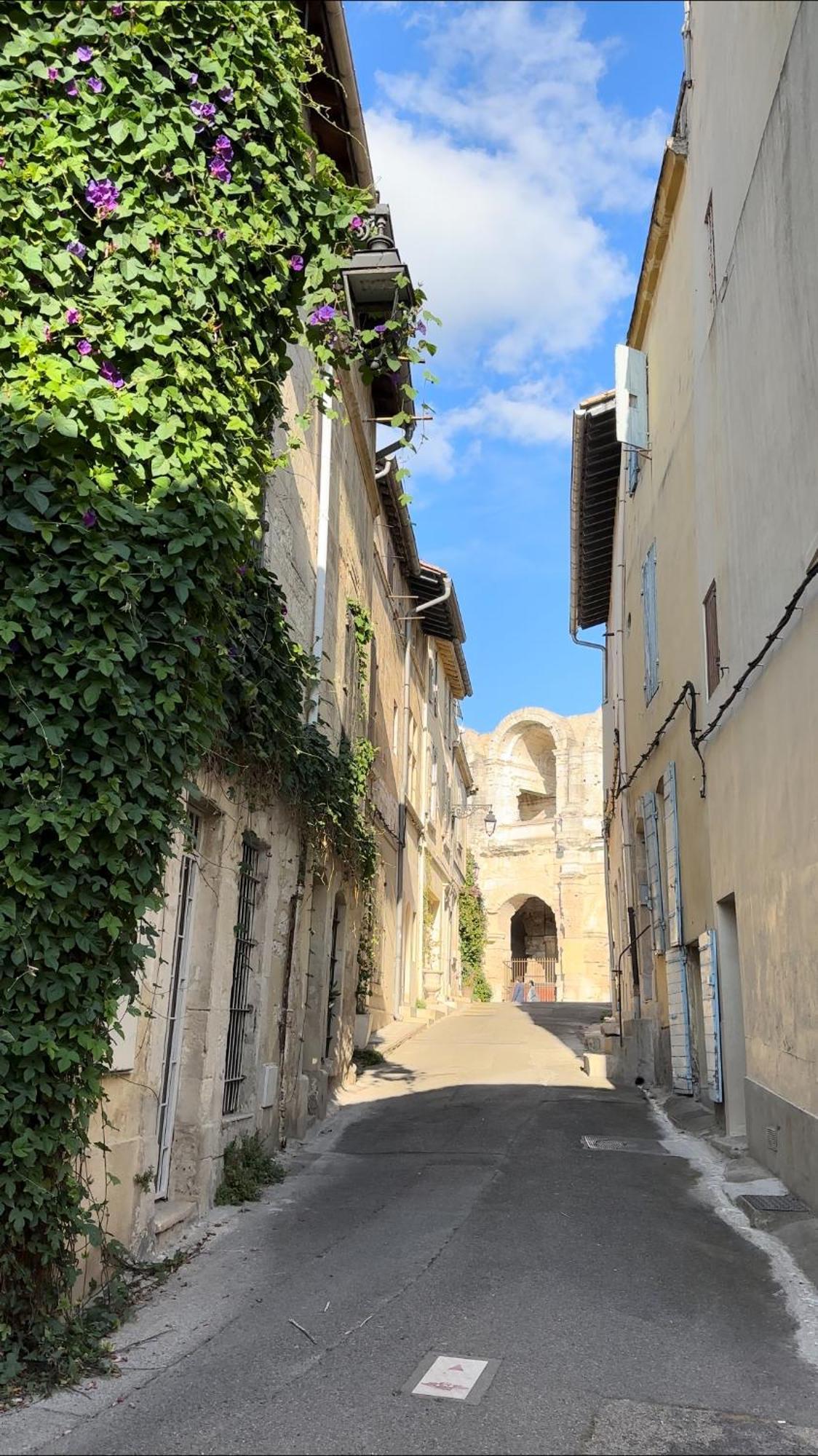 La Maison Des Hautures Arlés Exterior foto